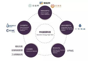 3年?duì)I收復(fù)合增長率提升5倍 中化能源科技提供數(shù)字石化新路徑